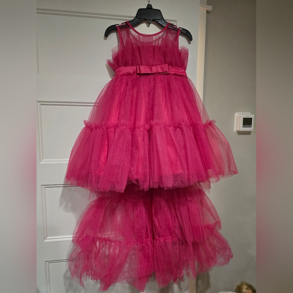 Elegant Pink Tulle Dress